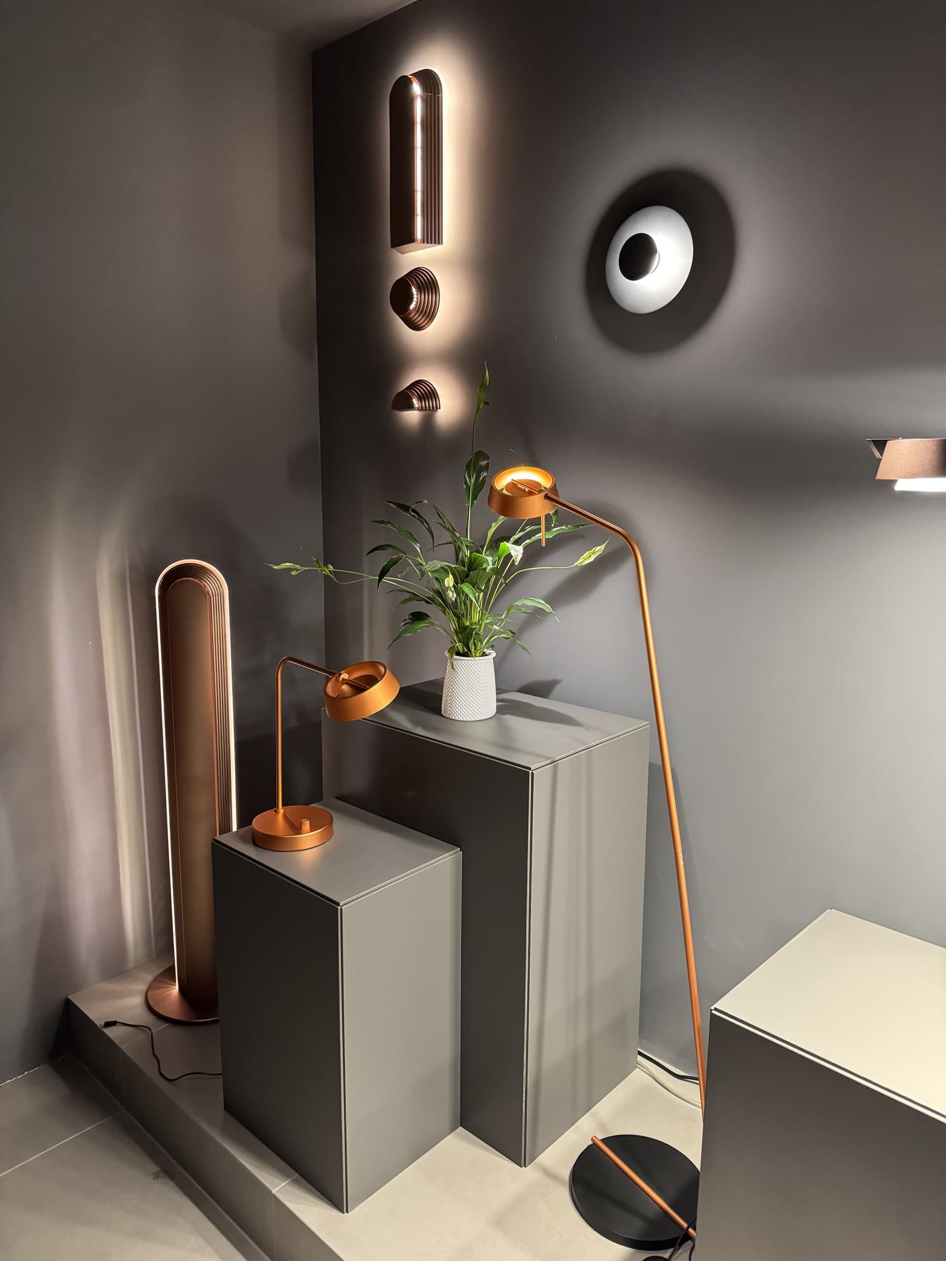 A collection of modern copper-toned lamps and wall sconces displayed in a showroom setting with a plant.